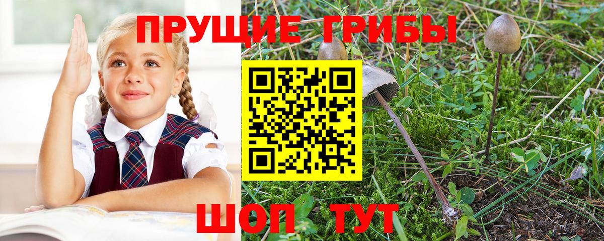 Псилоцибиновые грибы мухоморы  Вход с VPN  Саратов 
