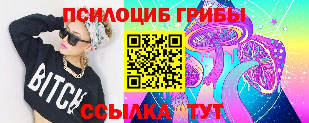 Галлюциногенные грибы Psilocybe Саратов