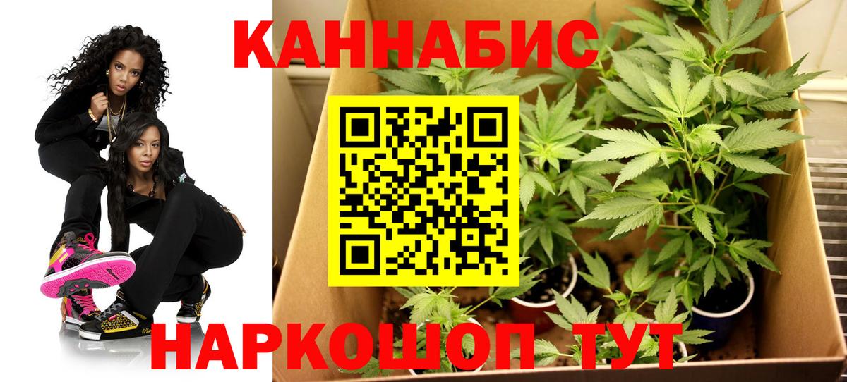 Конопля гибрид Саратов